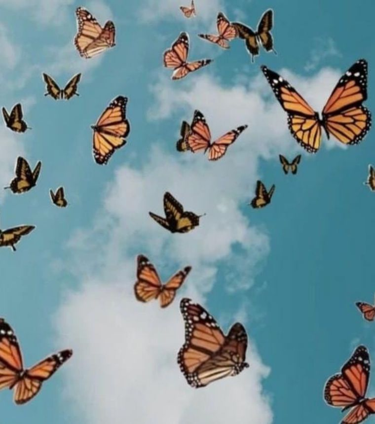 Butterflies against a clear blue sky, nature imagery for coaching service.