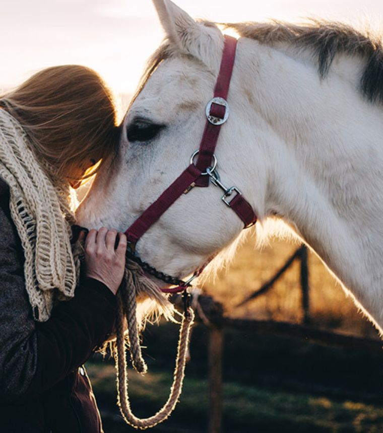 Woman resting her forehead against a white horse at sunset, equine-assisted therapy imagery.