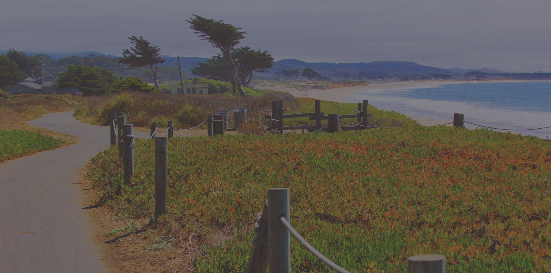 Coastal path lined with wooden posts and greenery leading toward the beach and ocean in Half Moon Bay